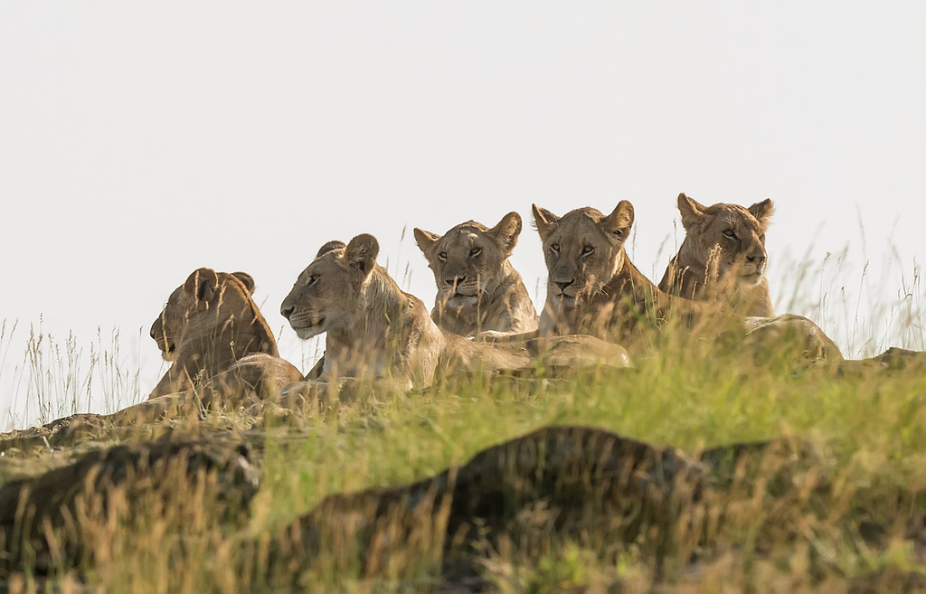 9 Day Ultimate Kenya Safari